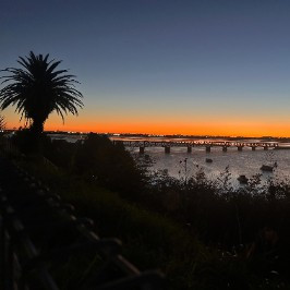 Noel Leeming Tauranga